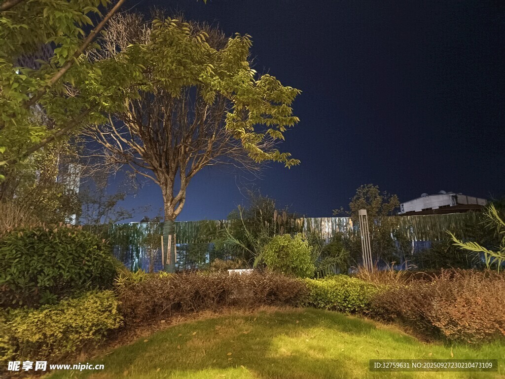 夜晚靜謐的花園景致