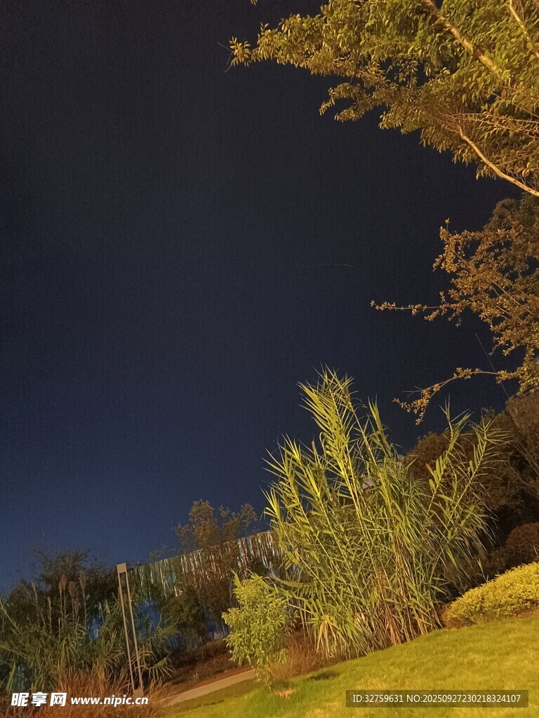 夜晚郊野景色