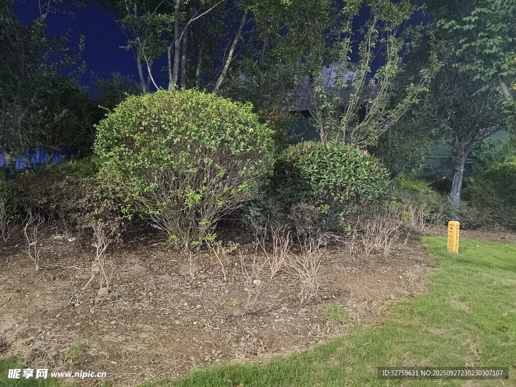夜間綠植景觀