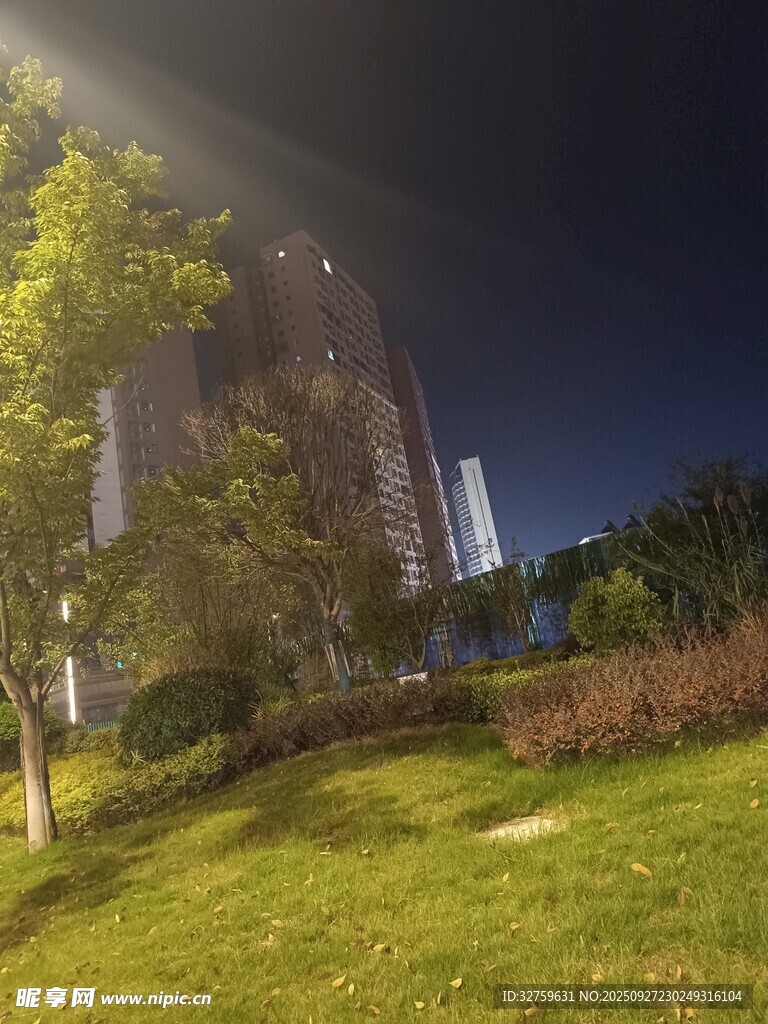 夜晚小區(qū)的綠植景觀