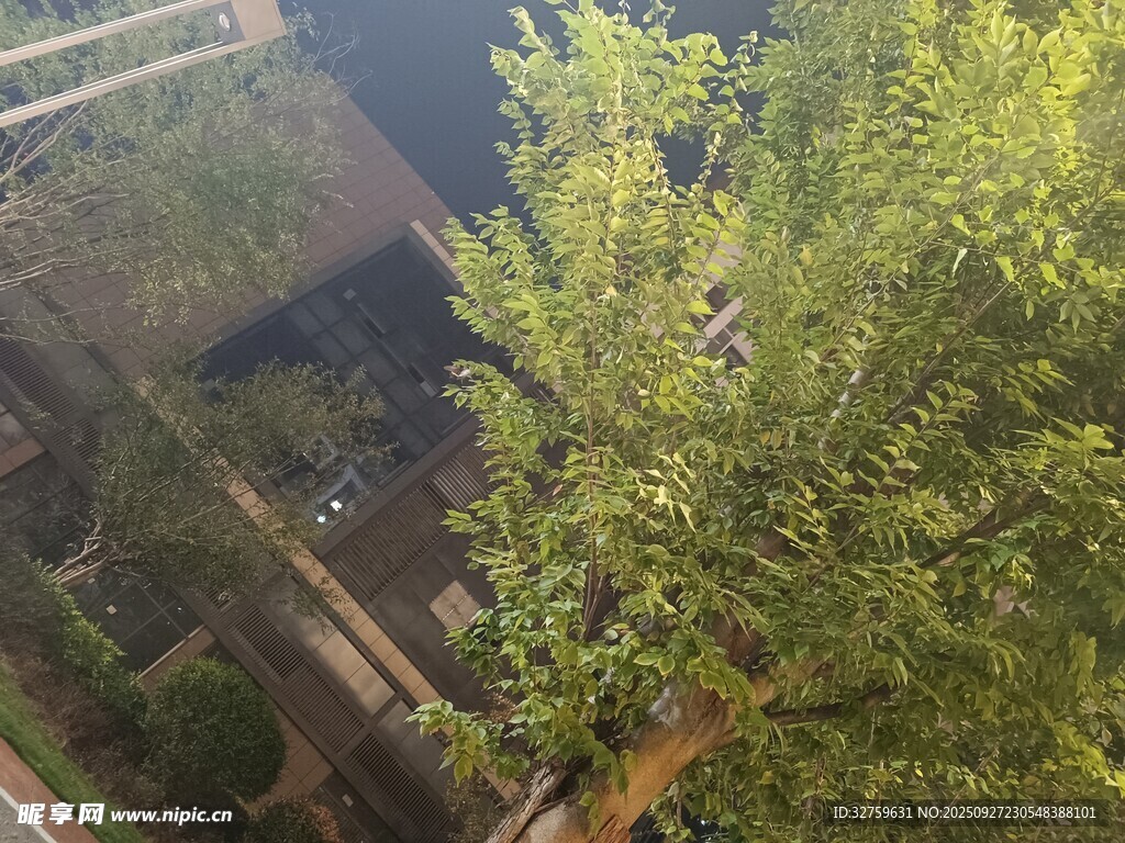 俯瞰綠樹(shù)環(huán)繞的建筑景觀