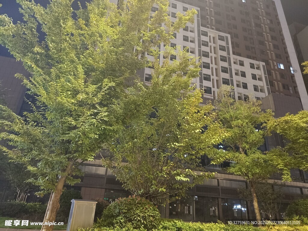 城市中繁茂綠樹與高樓