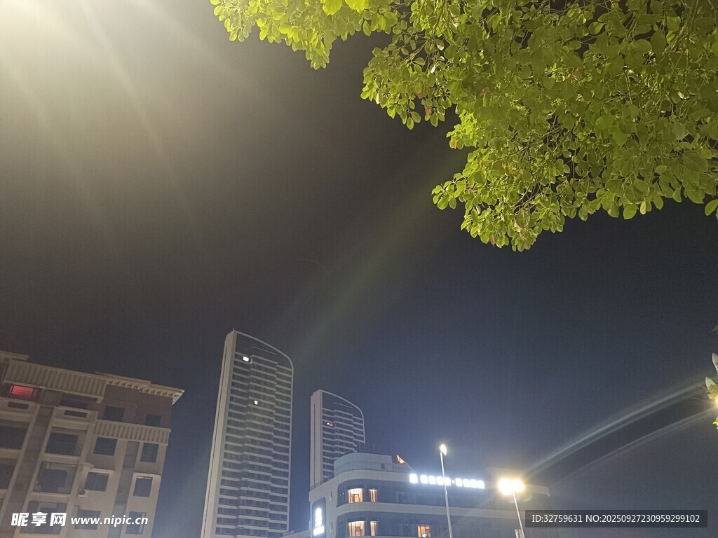 城市夜景中的綠樹(shù)與高樓
