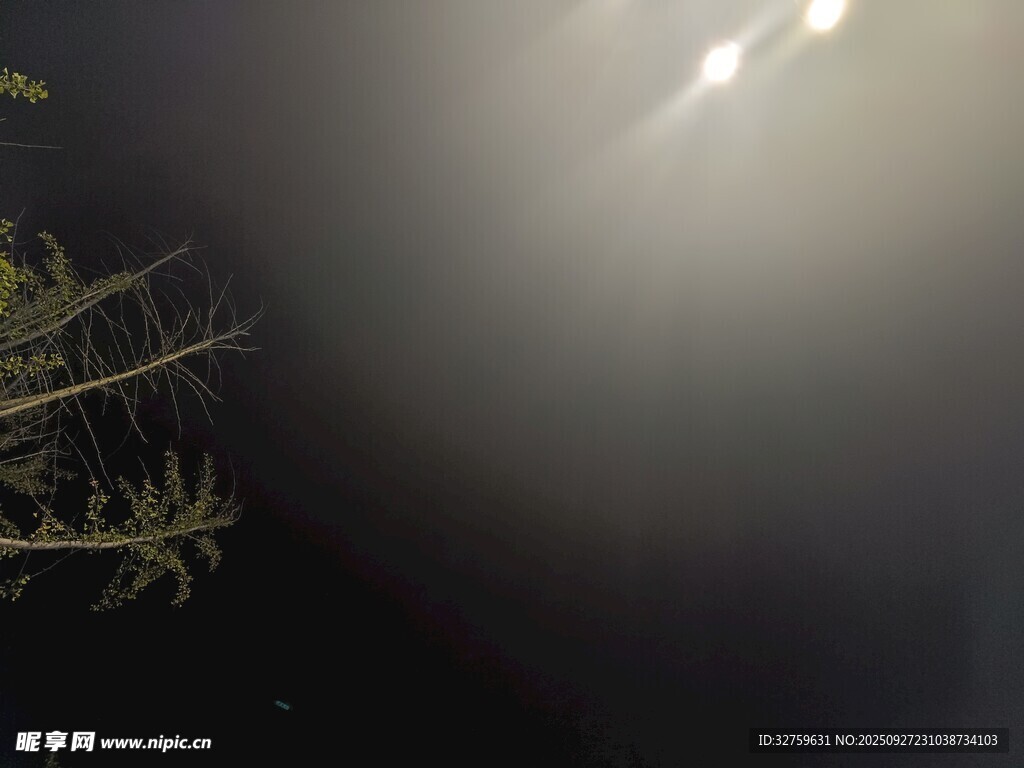 水下植物與光線景象