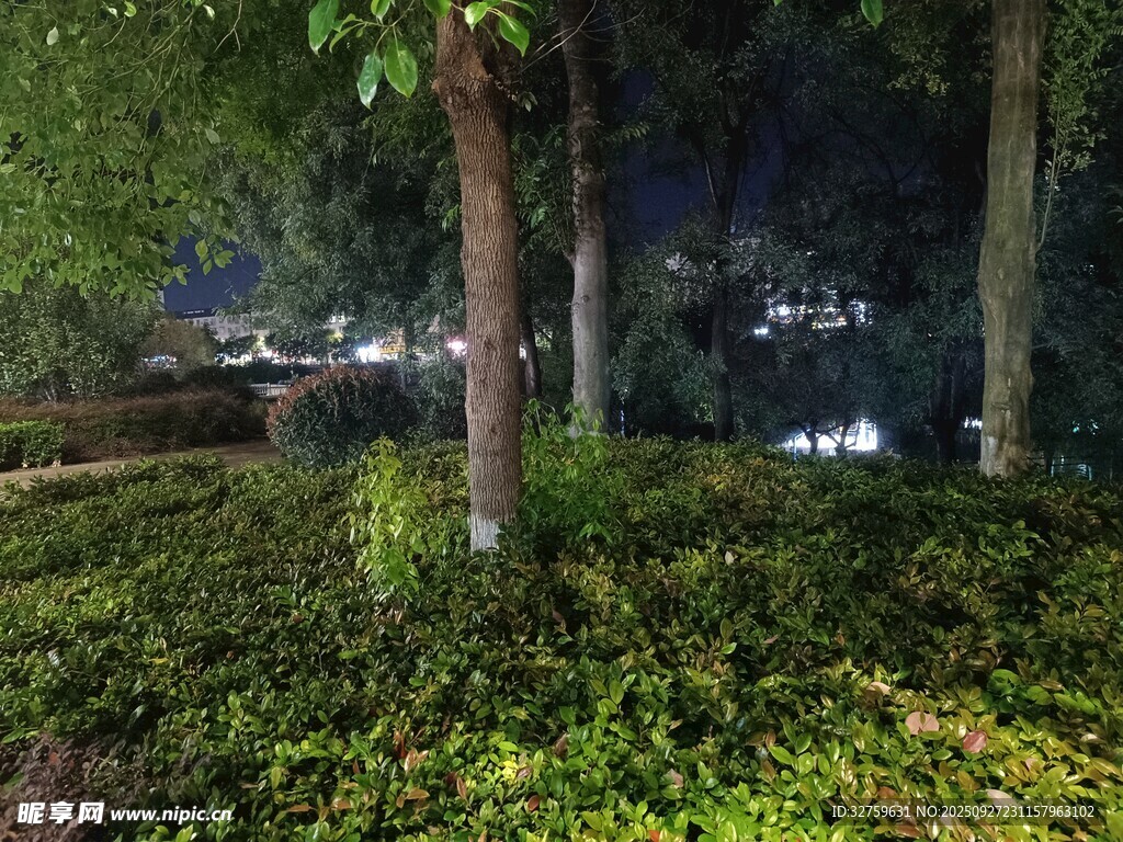 夜晚綠植環(huán)繞的靜謐公園