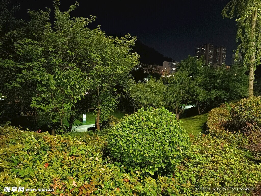 夜晚花園綠植景觀
