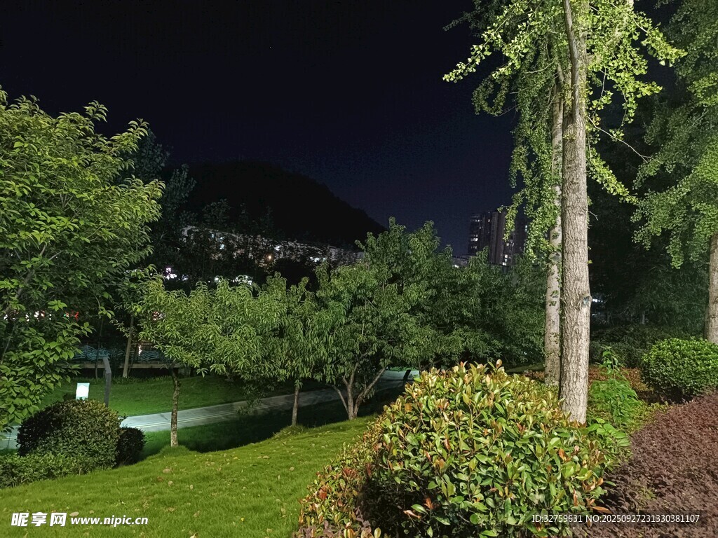 夜晚靜謐的園林景觀