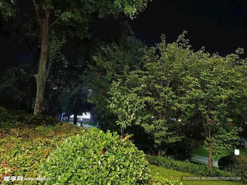 夜晚園林綠植景觀