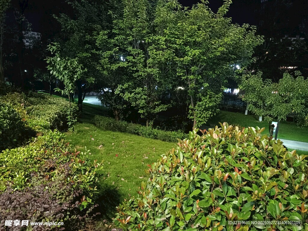 夜晚花園綠植景觀