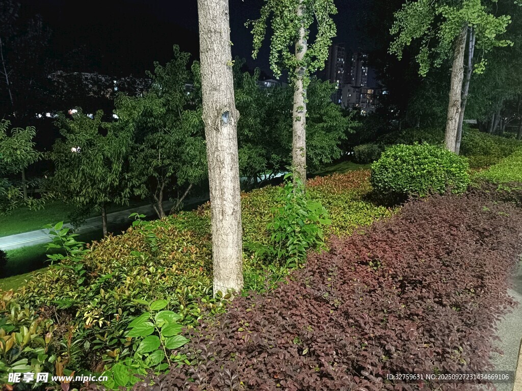 夜間綠化帶景觀