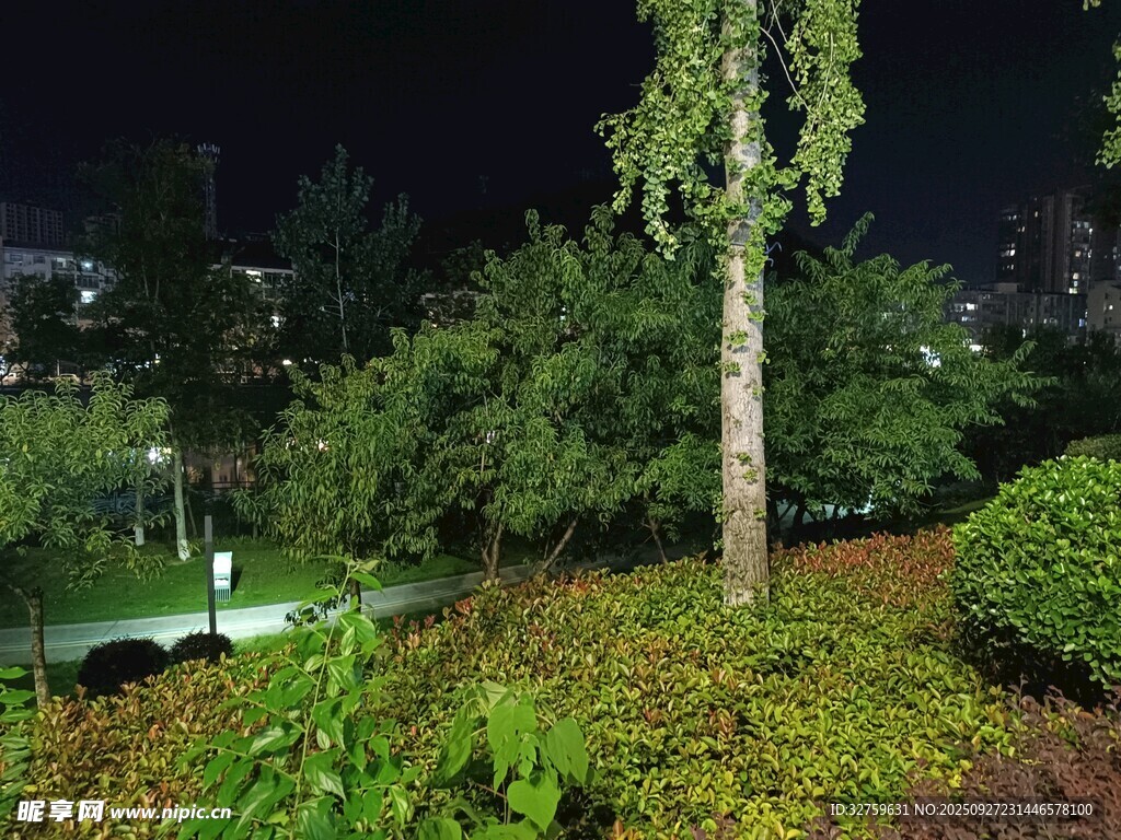 夜晚綠植景觀