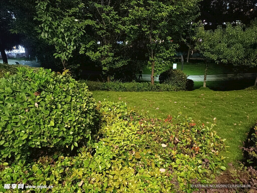 綠意盎然的花園景觀