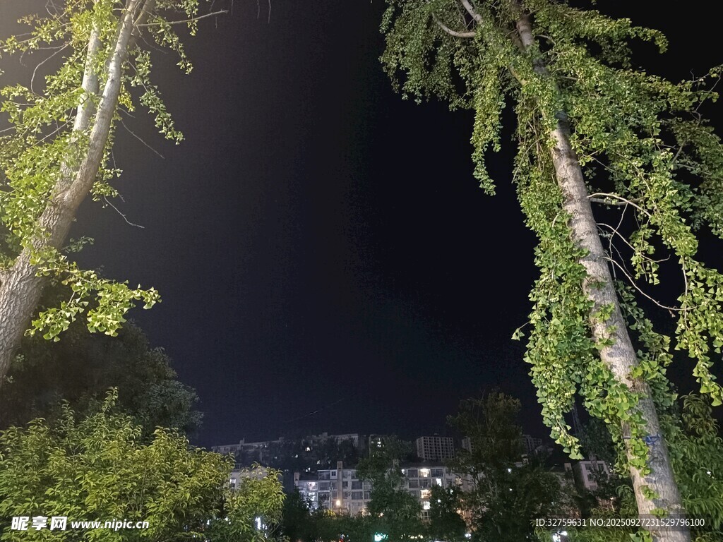 夜晚林間俯瞰山下景象