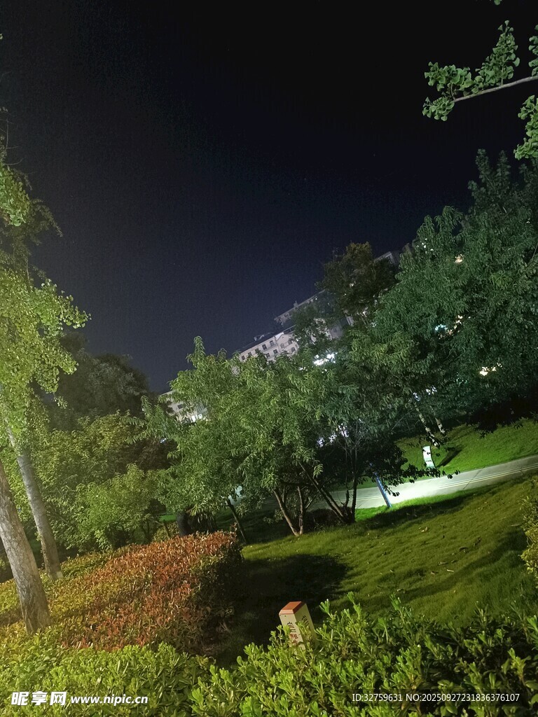 夜晚公園綠植夜景