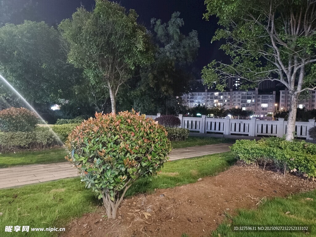 夜晚公園綠植景觀