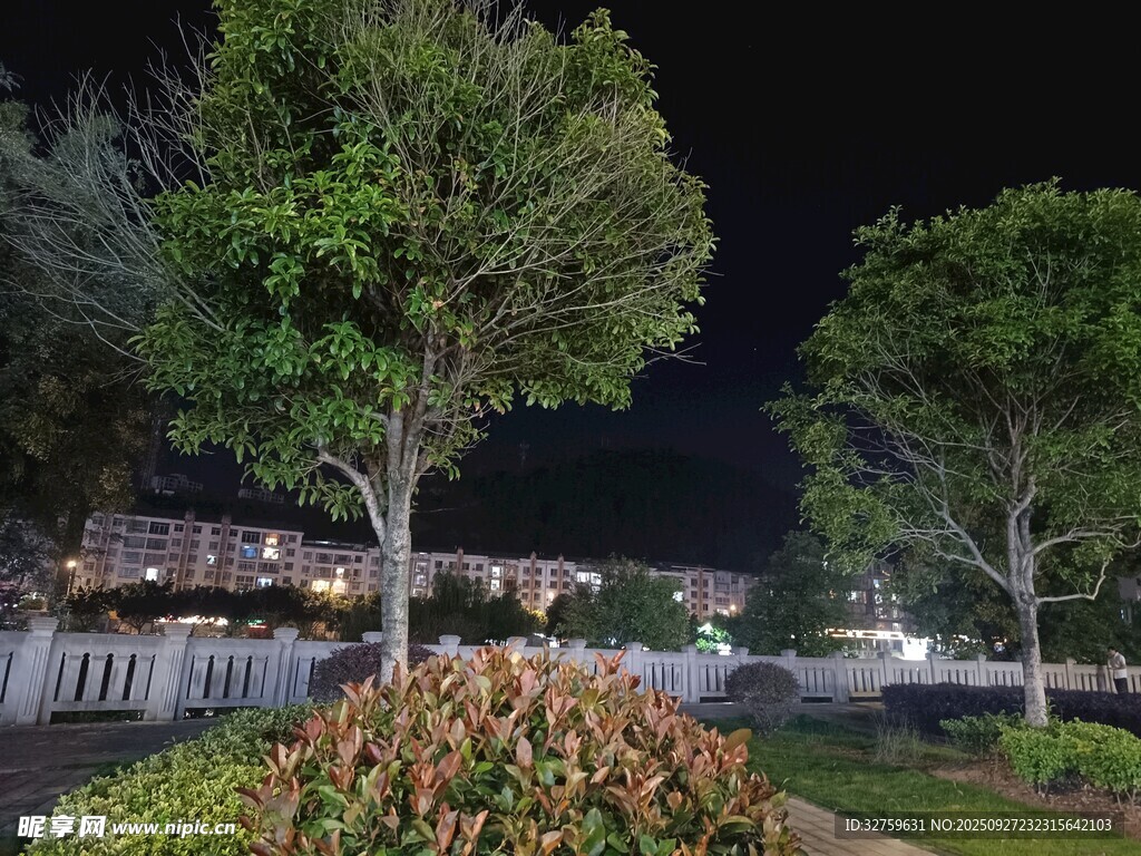 夜晚公園綠植景觀