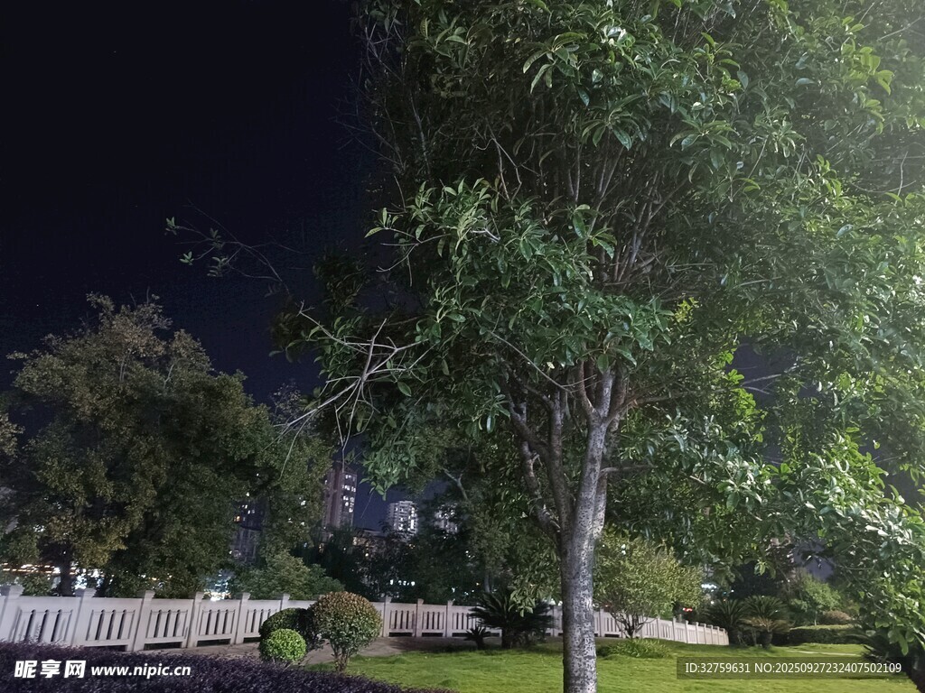夜晚庭院綠樹(shù)景致