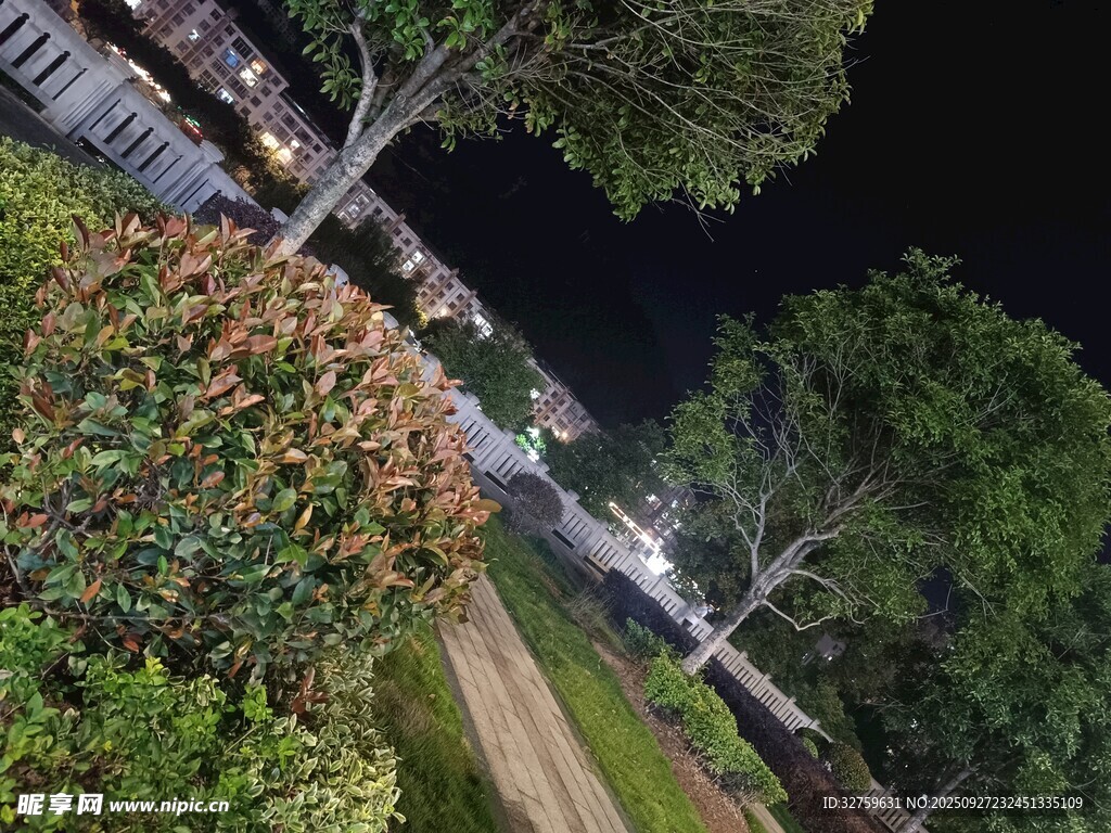 俯瞰夜晚綠植環(huán)繞的景致