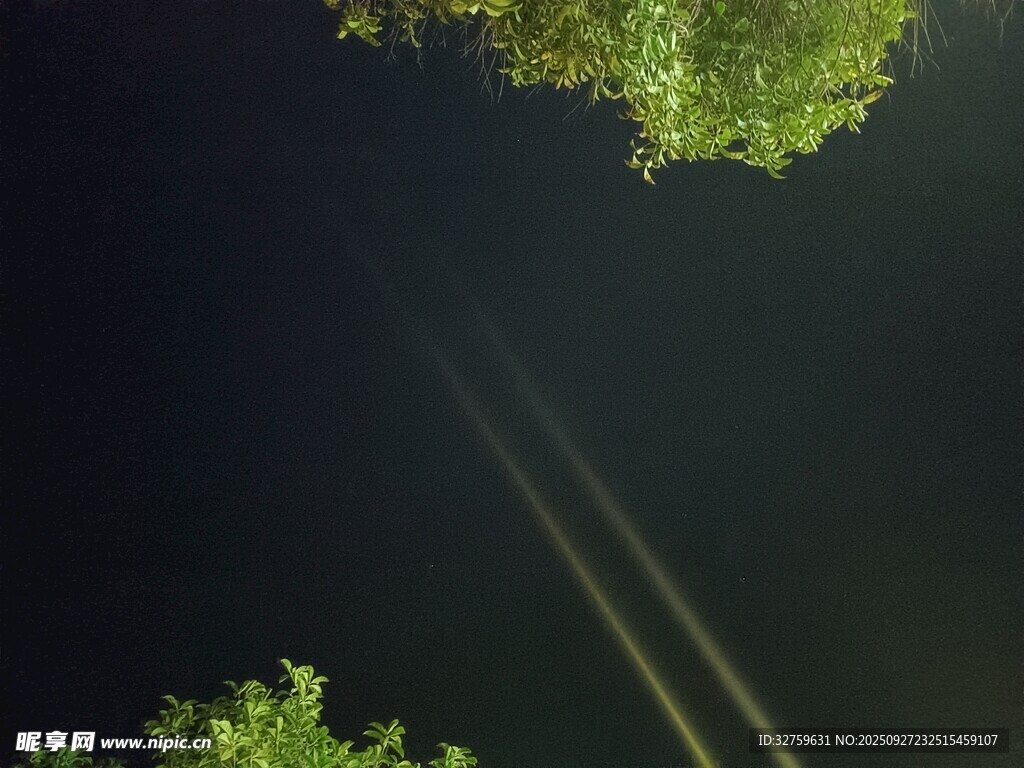 林間光束穿透樹葉的美景