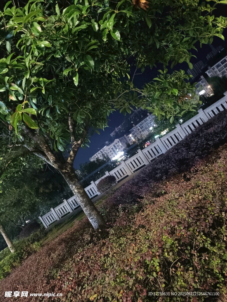 綠樹環(huán)繞的靜謐景致