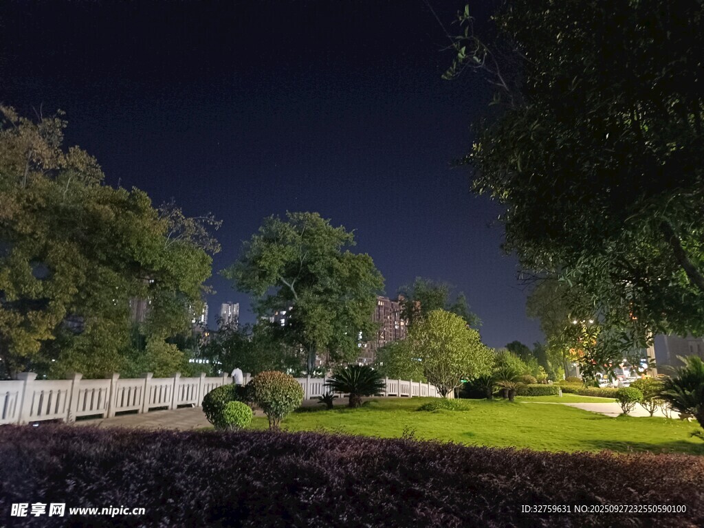 靜謐夜晚的花園景致