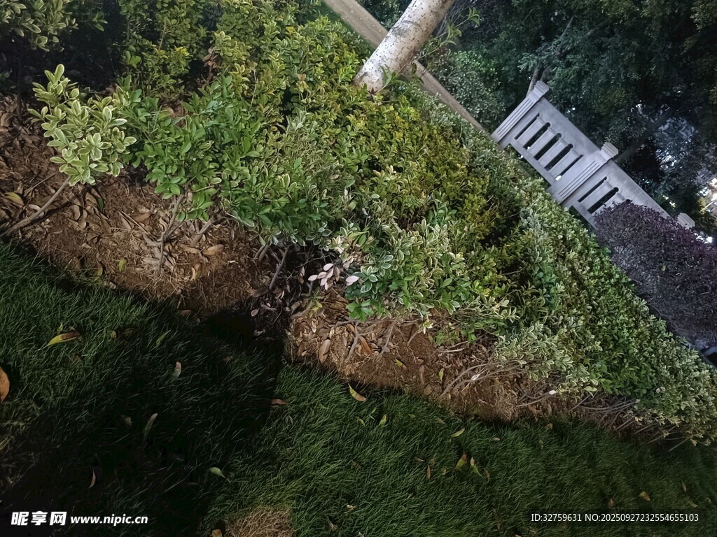 戶外綠植與臺(tái)階景觀