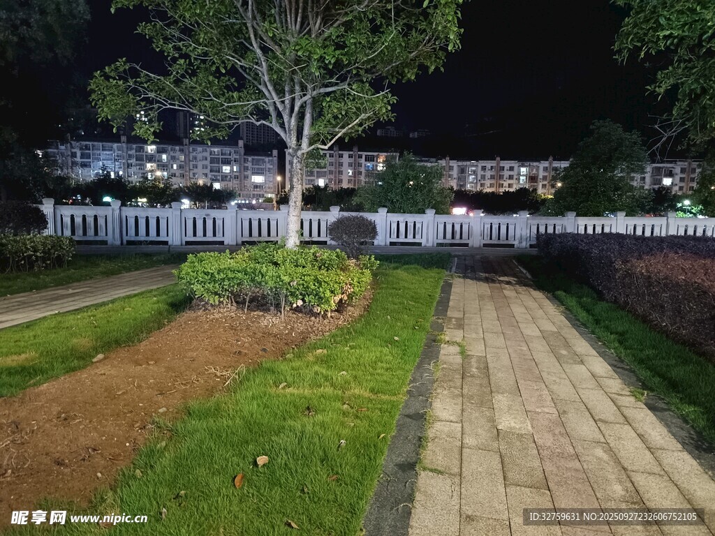 夜晚庭院小徑與綠植景觀