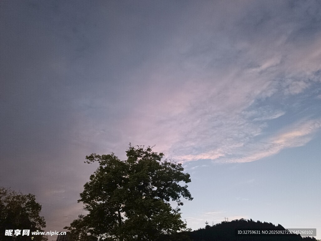 黃昏時(shí)分的樹(shù)梢與彩云