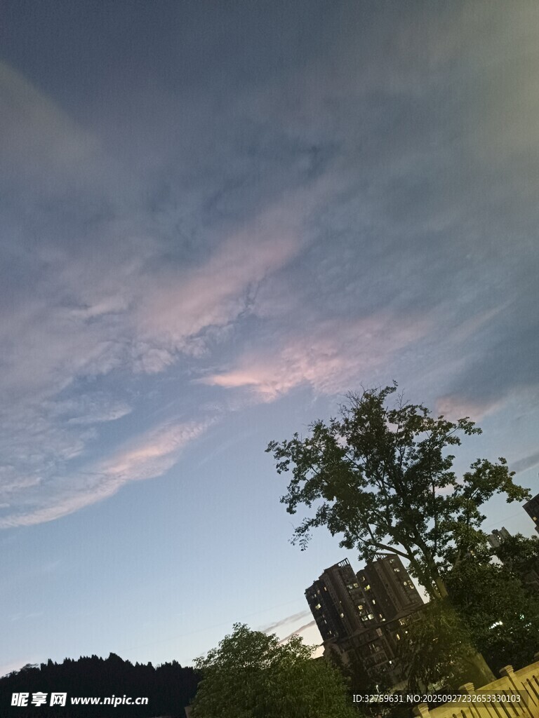 黃昏時分的天空與樹木