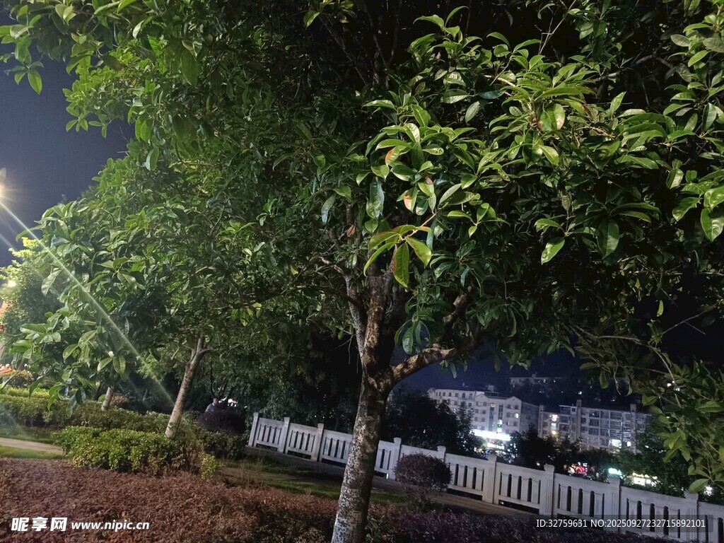 夜晚樹景與白色圍欄