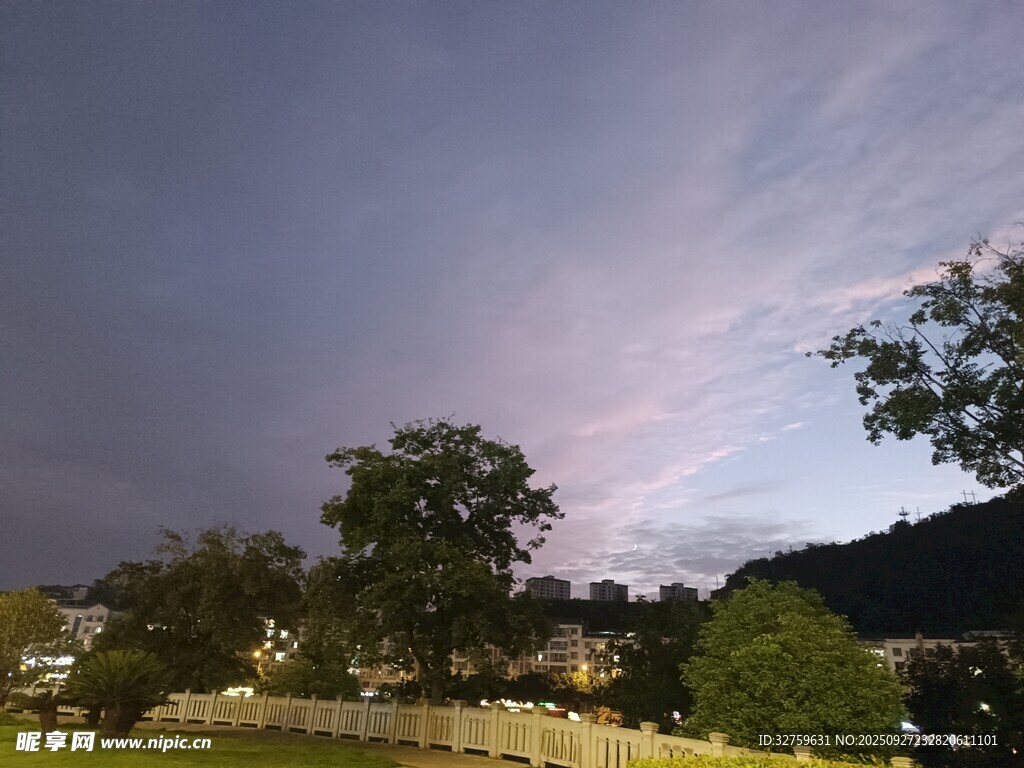 黃昏下的樹林與朦朧天空