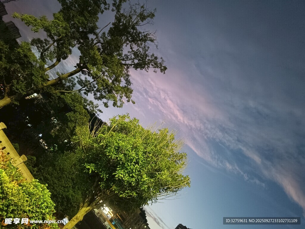 林間天空美景