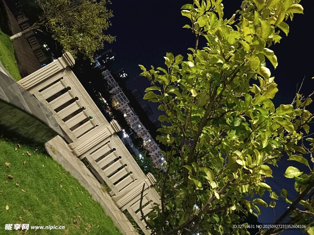 夜晚中的綠植與石階
