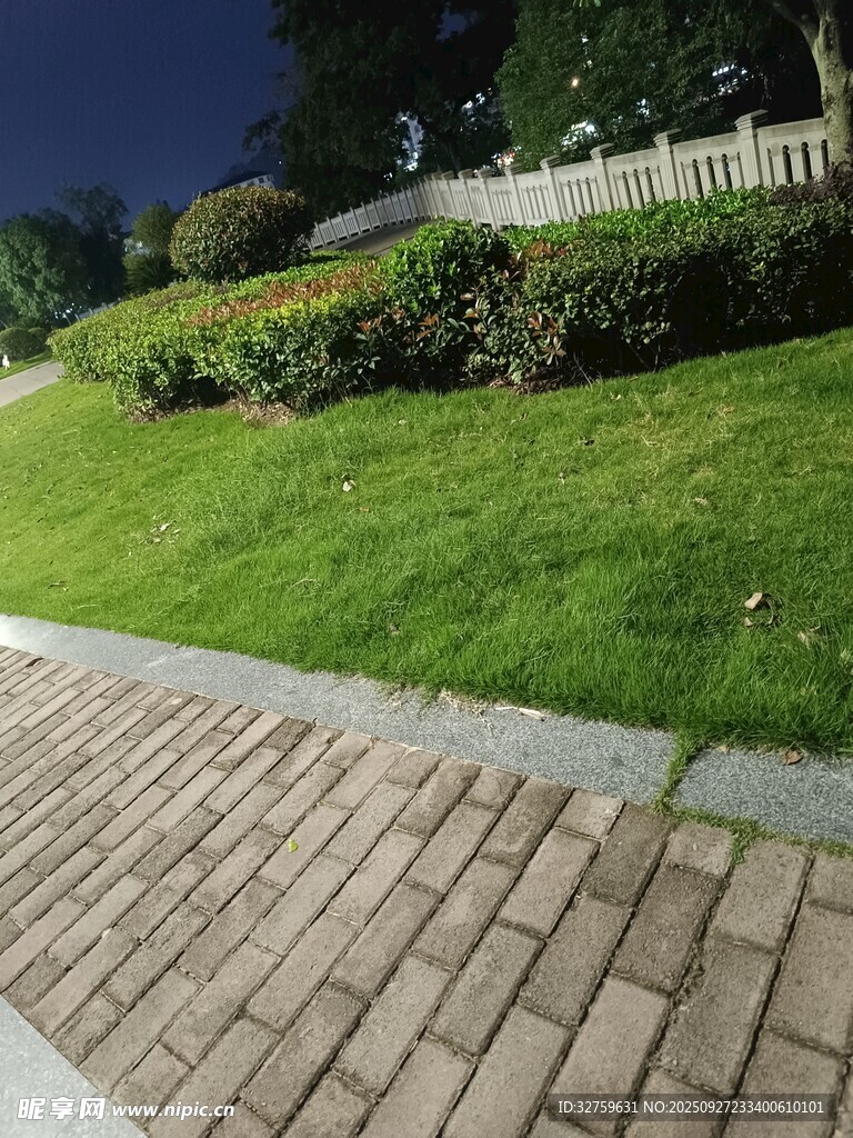 夜晚的磚石小徑與翠綠草坪