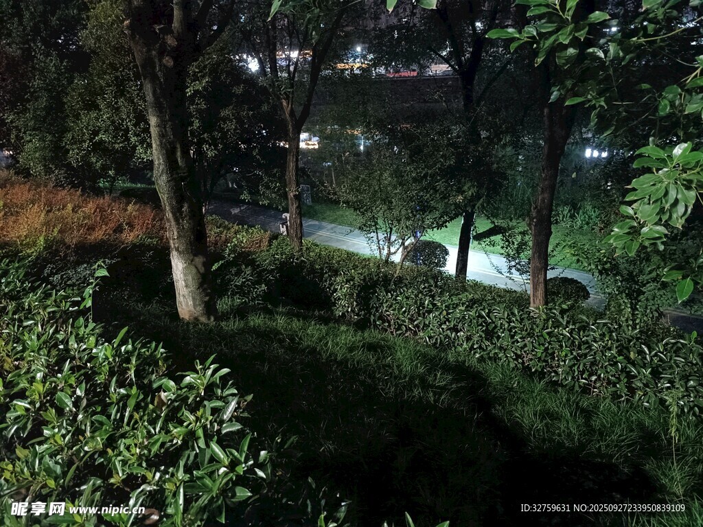 夜晚林間小道朦朧景象