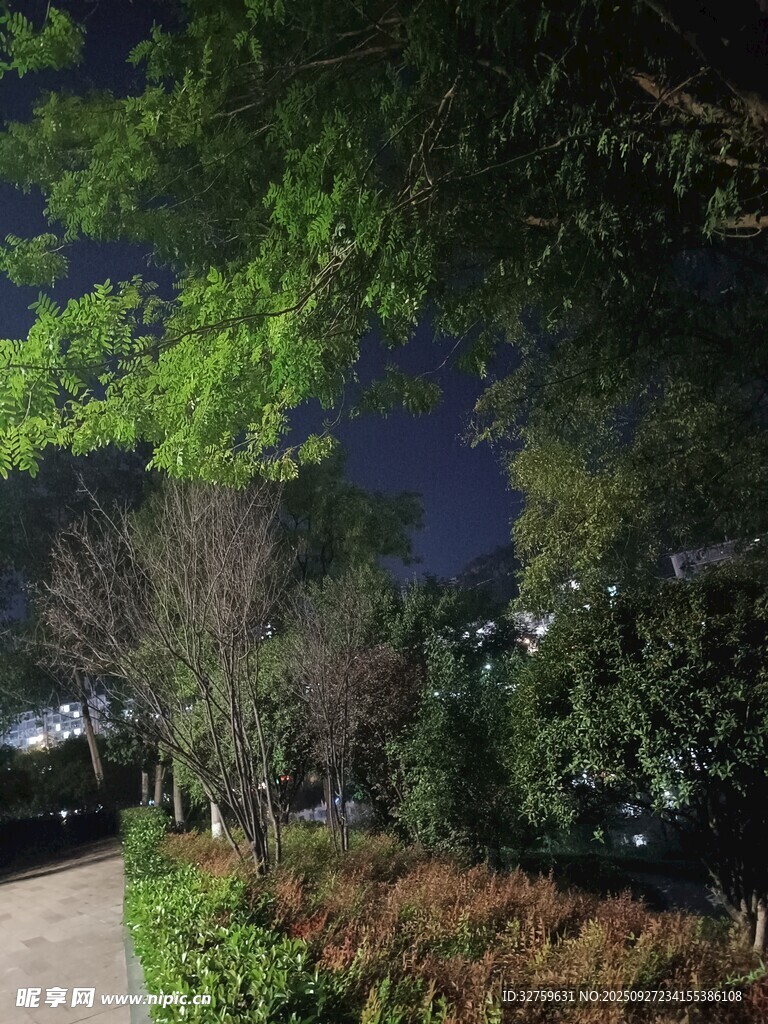 夜晚園林景致