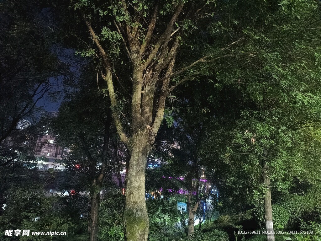 夜晚樹林中的城市燈火