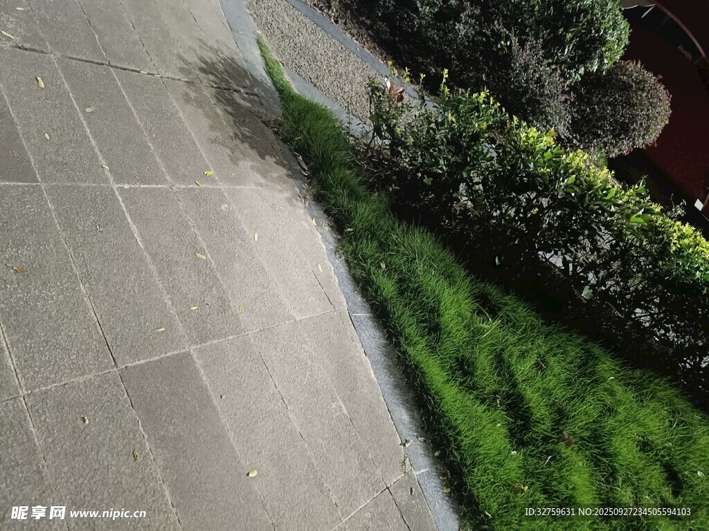 石板旁的翠綠植物景觀