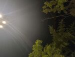 夜空中的樹與朦朧燈光
