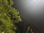 夜空中的樹影與光束