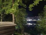夜晚樹影下的城市燈火
