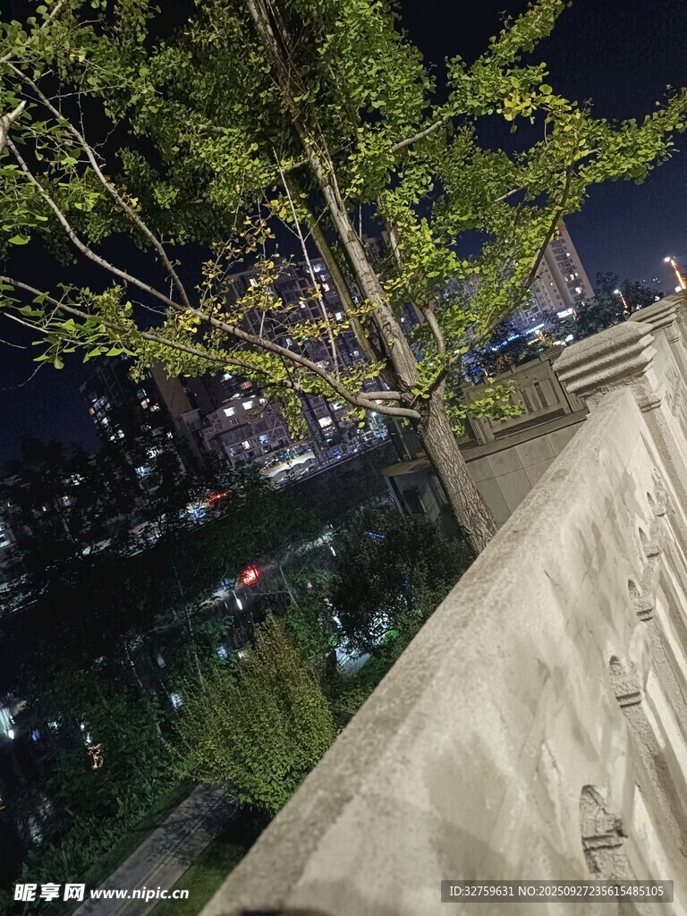 夜晚綠植與城市夜景一角