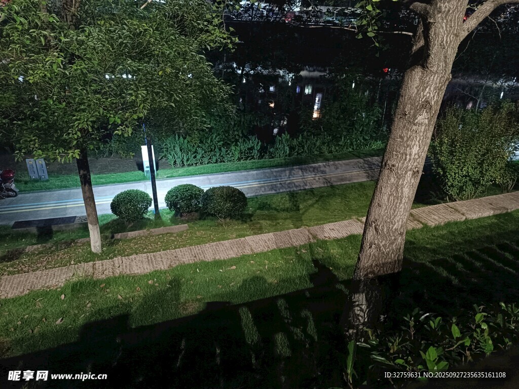 夜晚街邊綠化景觀