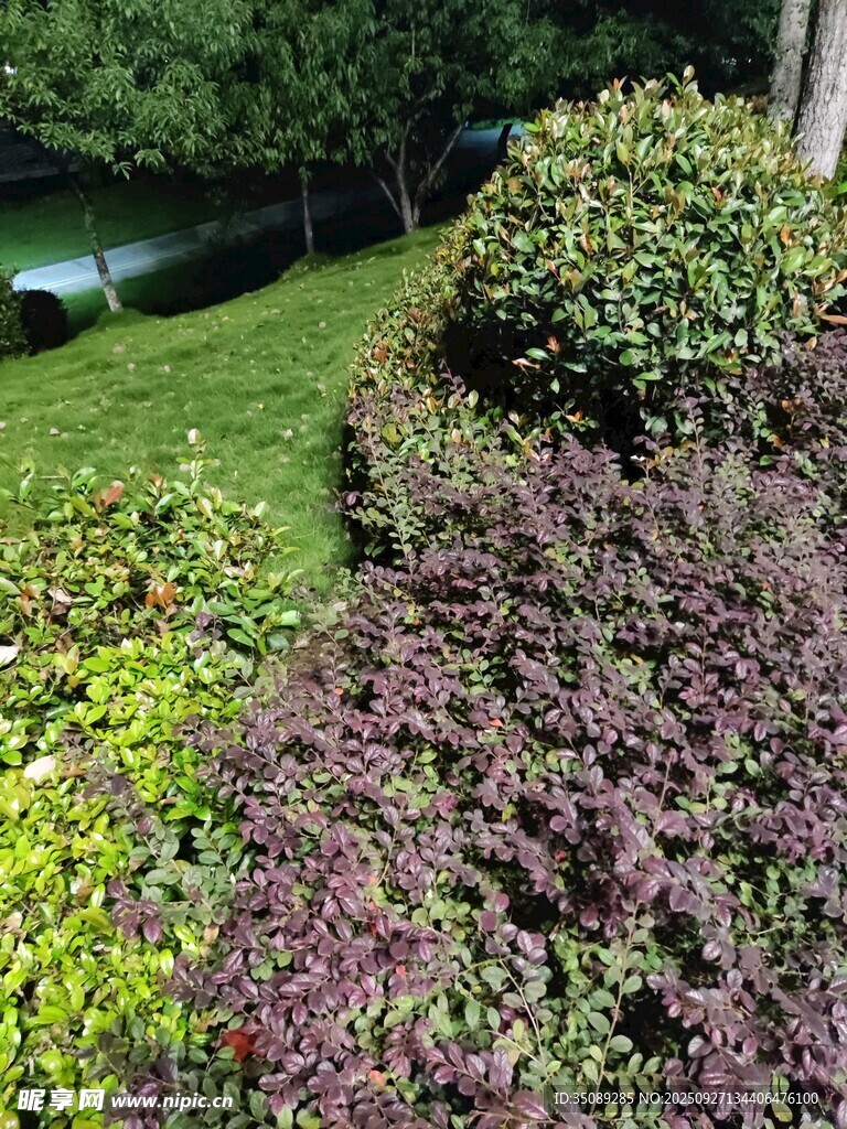 多彩植物裝點(diǎn)的美麗景觀