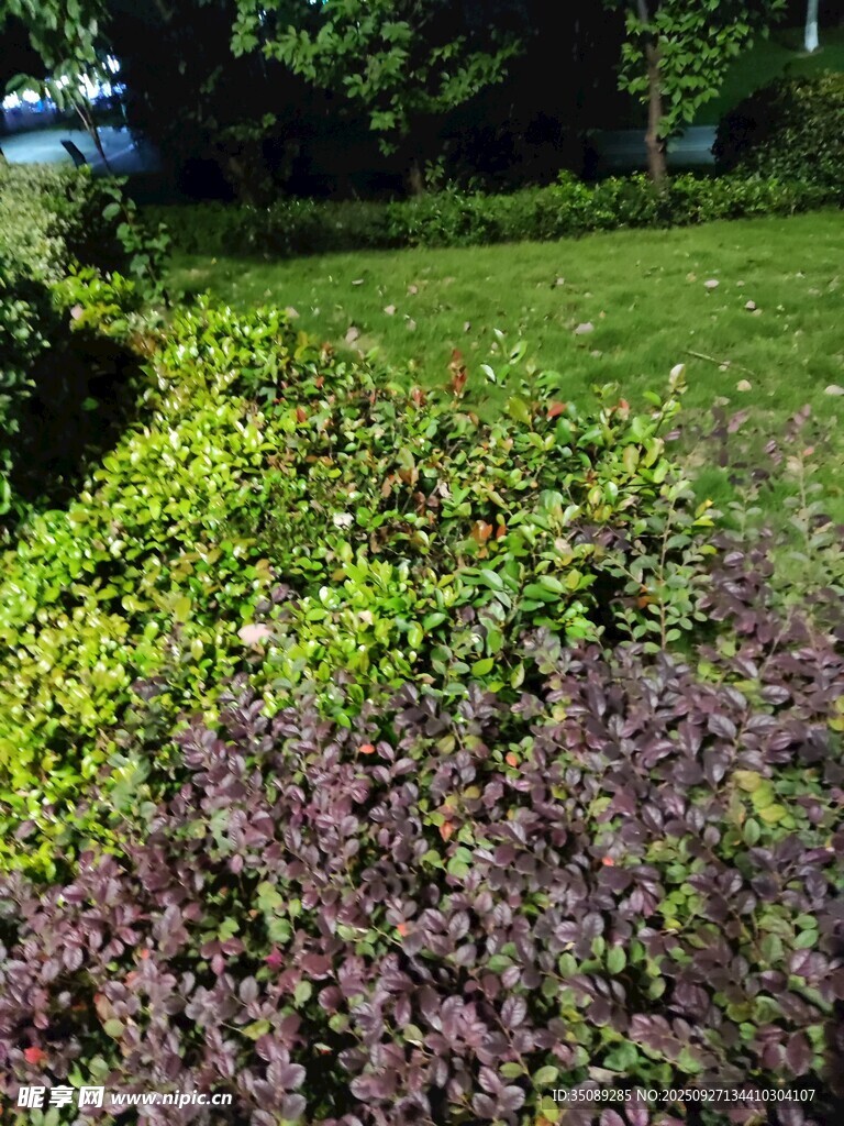 多彩綠植裝點(diǎn)的戶外景致