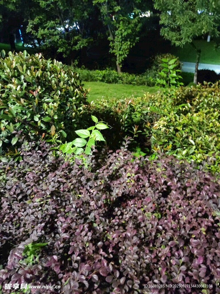 多彩植物景觀