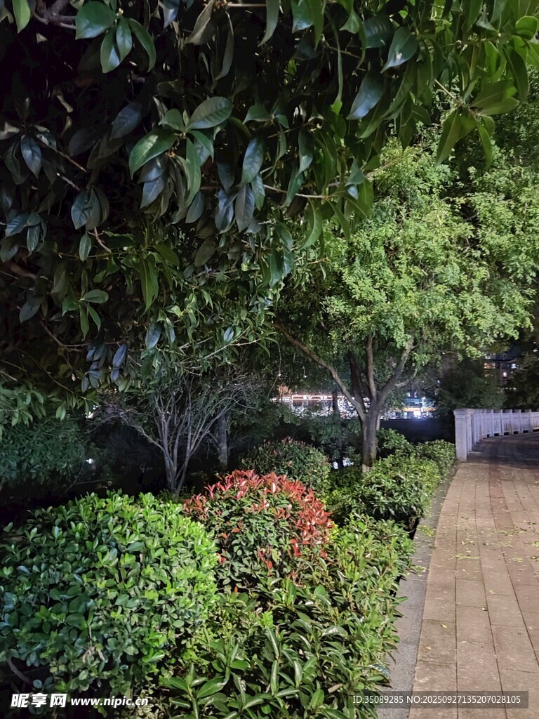 庭院綠植景觀