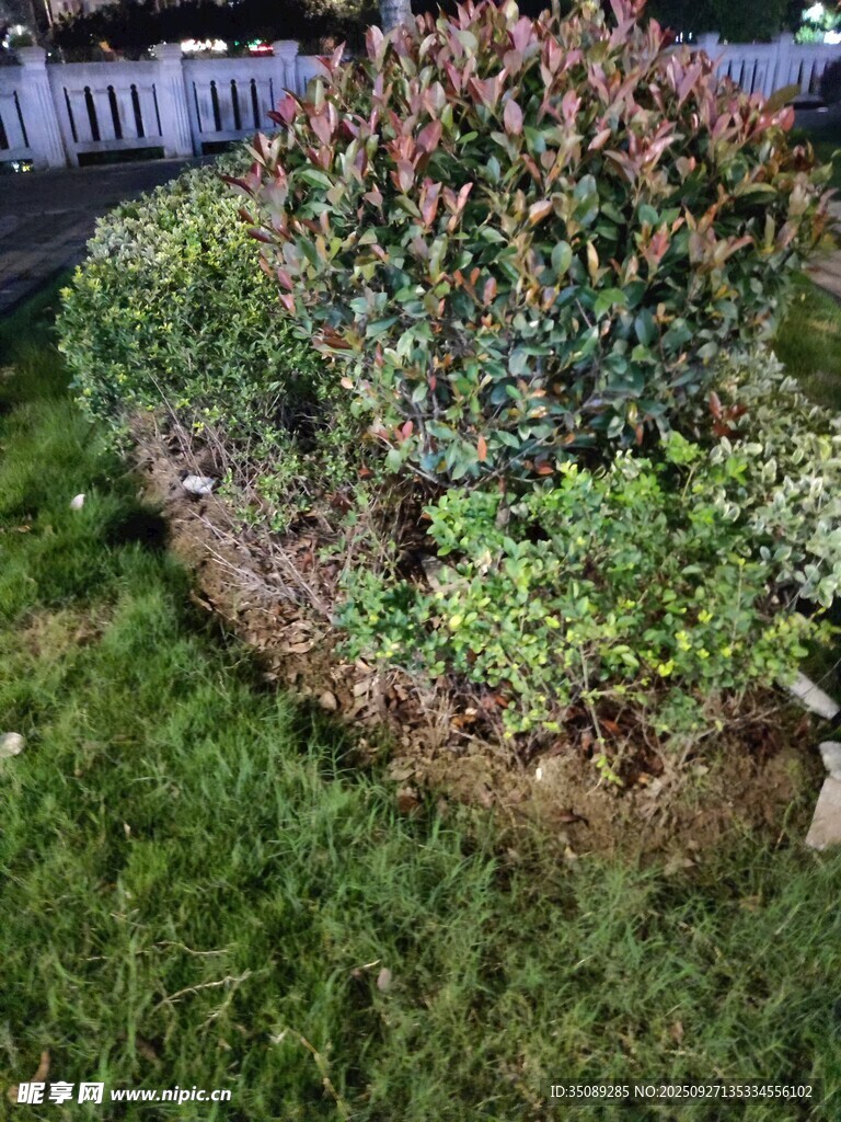 花園綠植景觀