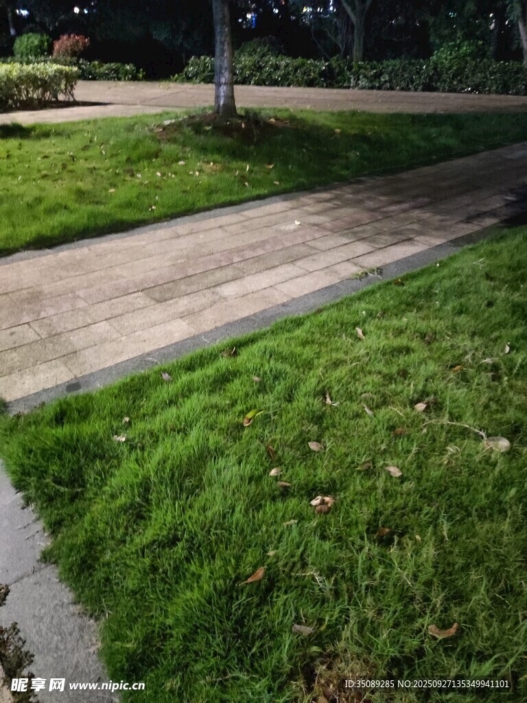 夜晚的草地與步道