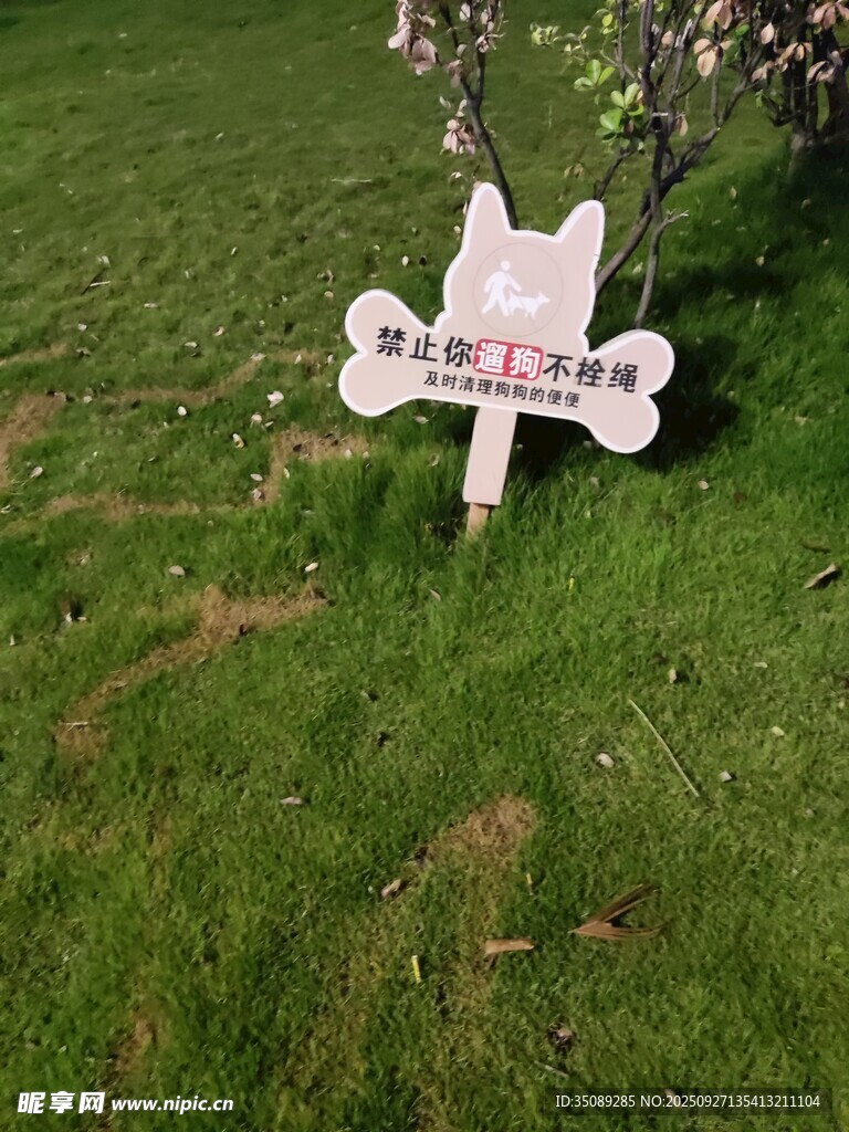 草地上的貓咪形狀指示牌